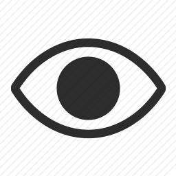 <em>眼睛</em>