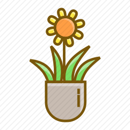 <em>向日葵</em>