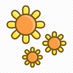 <em>向日葵</em>