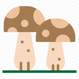 蘑菇