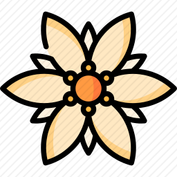 <em>雪绒花</em>