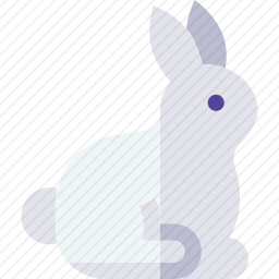 兔子
