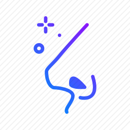 鼻子
