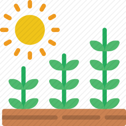 植物