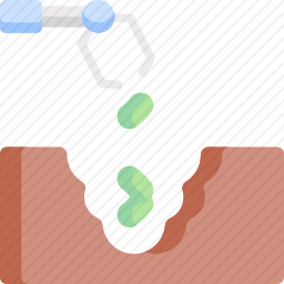 种子