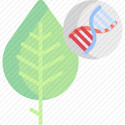 DNA