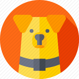 科基犬
