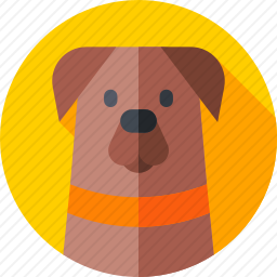 杜宾犬