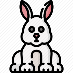 兔子