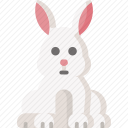 兔子