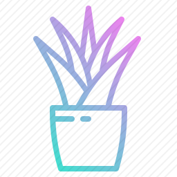 植物