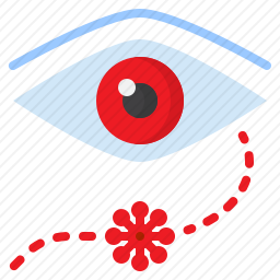 眼睛
