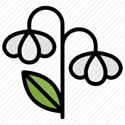 <em>花</em>