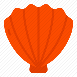 <em>贝壳</em>