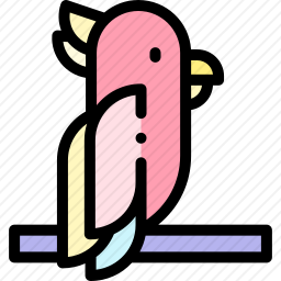 鹦鹉