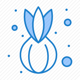 <em>洋葱</em>