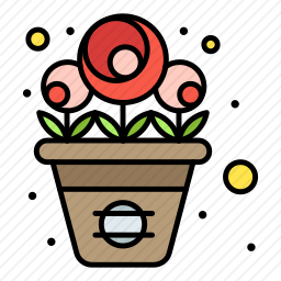 花盆