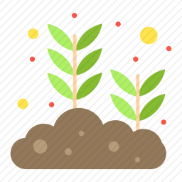 植物