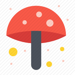 蘑菇