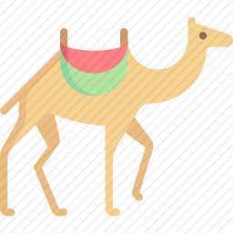 骆驼
