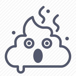 大便