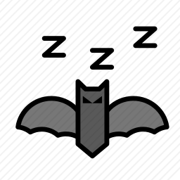 <em>蝙蝠</em>