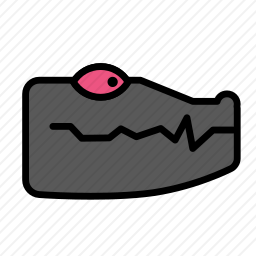 <em>鳄鱼</em>