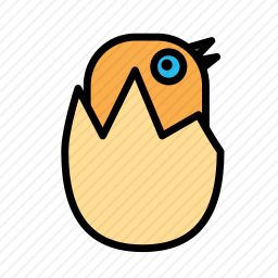 <em>鸡</em>