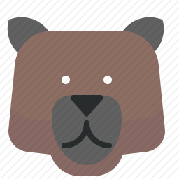 灰熊