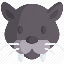 黑豹