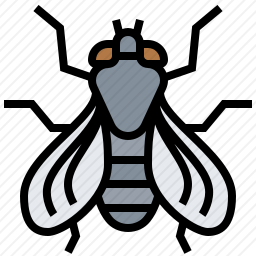 <em>苍蝇</em>