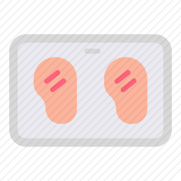 <em>鸡胸肉</em>