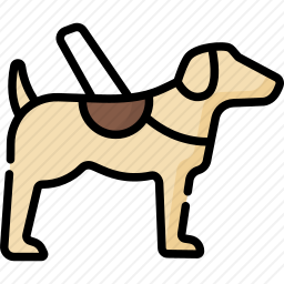 导盲犬