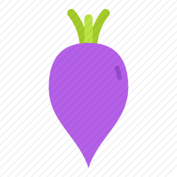 甜菜根