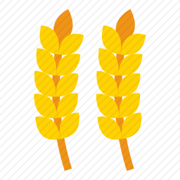 粮食