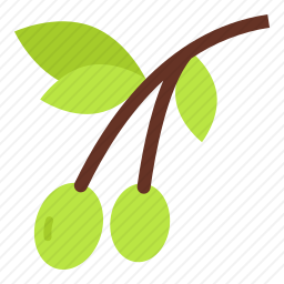 <em>橄榄</em>
