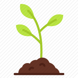 植物