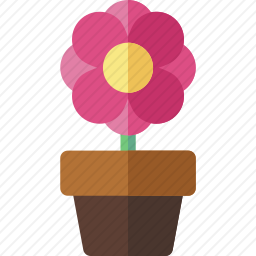 花盆