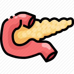 胰腺