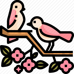 鸟