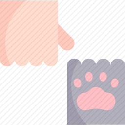 爪