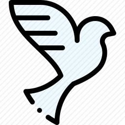 鸽子