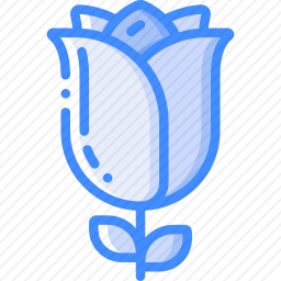 <em>玫瑰</em>
