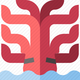 海怪