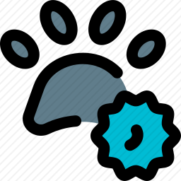 <em>病毒</em>