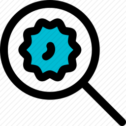 <em>发现</em>