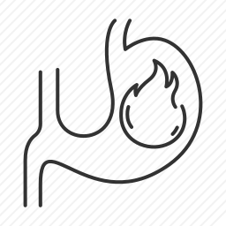 胃