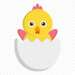 <em>鸡</em>
