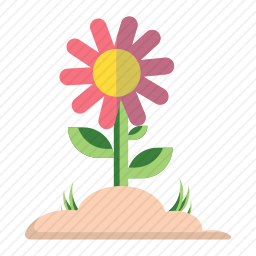 <em>花</em>