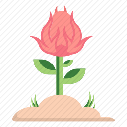 花